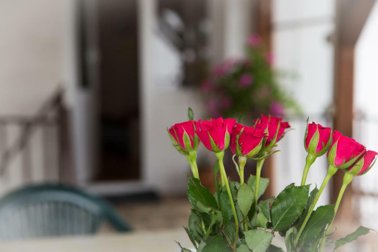 Apartman Antea Otocsán Kültér fotó